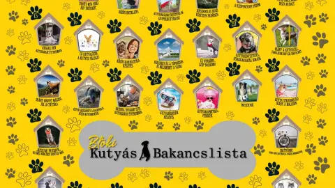 BLÖKI-A kutyás bakancslista 52 hétre/52 közös élmény kedvenceddel 4