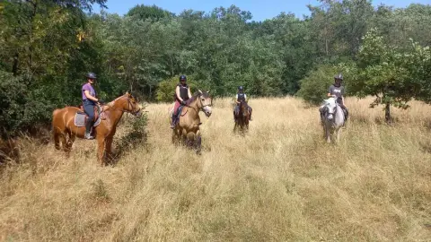 Tereplovaglás Biatorbágyon és környékén/ Csak lovagolni tudóknak