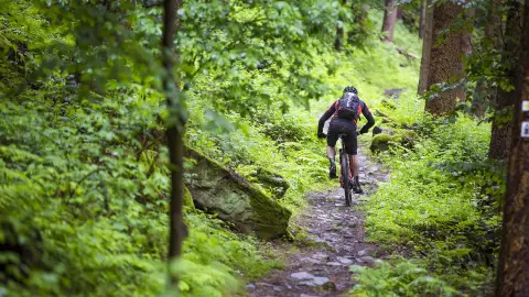 Profi Elektromos kerékpárokkal túrák a Mátrában 3