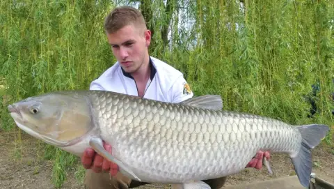 Kiskorpádi Horgászparadicsomban Bakancslistás példányokra pecázhatsz 3