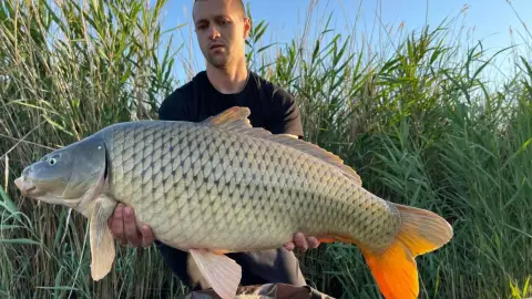 3 napos Pecakaland privát stégről, vízparti telken Szigligeten