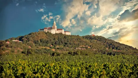 Pannonhalmi Apátsági Pincelátogatás 7 boros kóstolással 4