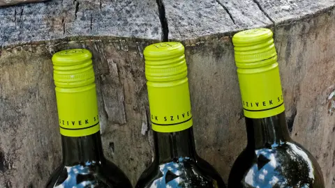 Kesztölci Szívek pincészeti borkóstoló - 6 boros 1