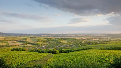Kesztölci Szívek pincészeti borkóstoló - 6 boros 5