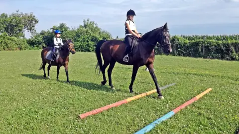 Páros Terep Lovaglási élmény Zalakaros melletti farmról indulva 1