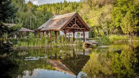Erdőben, tóparton nagy vendégházban családdal barátokkal Cserkeszőlőn 2 éjszaka
