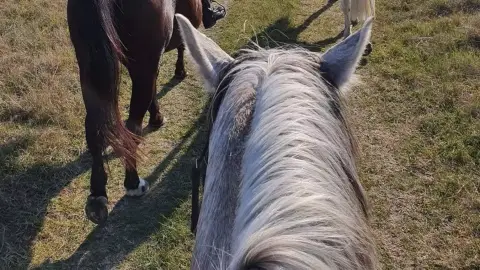 Tereplovaglás a Dél-Alföld pusztáin kezdőknek 1