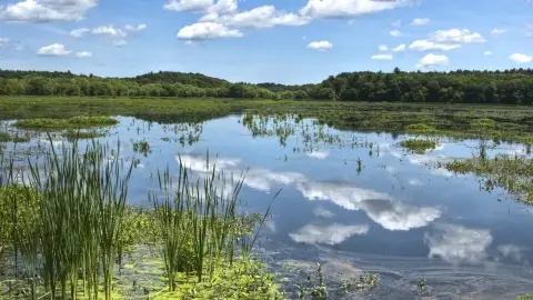 Engedély nélküli sportmotorcsónak bérlés és kalandozás a Tisza-tavon 3