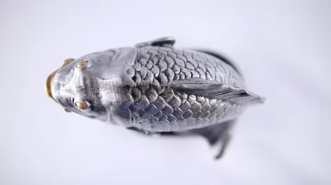 A legnagyobb fogás horgász trófea 3