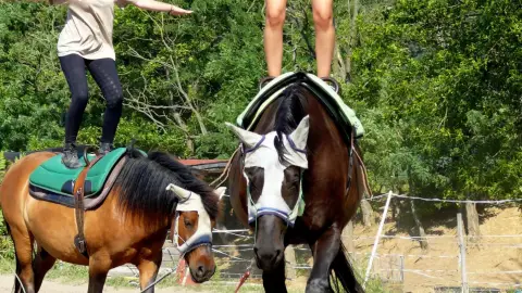 Felnőtt, vicces ügyességi Élménylovaglás a Wackor lovastanyán 2