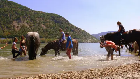 Családi sétalovaglás a Wackor Tanyán a Dunaparton 3