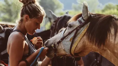 Felnőtt lovasoktatás karámban Dunakanyarban a Wackor lovastanyán 5