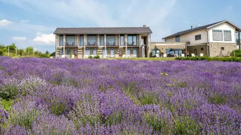 2 fős intenzív feltöltődés a zebegényi Natura Hill Vendégházba 6