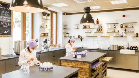 Páros krémkészítő workshop sütivel és kávéval Tihany szívében 1