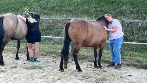 Suttogó erő - A LOVAK ÉS A TE UTAD Hollókőn 6