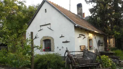 Apa - fia családi élménykovácsolás 3